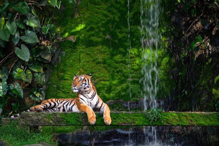 Indiens schönste Nationalparks ©Nitiphonphat/istock